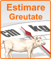 Estimare greutate porc